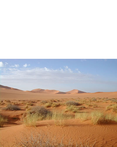 desierto del Sahara